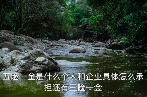 五險(xiǎn)一金是什么個(gè)人和企業(yè)具體怎么承擔(dān)還有三險(xiǎn)一金