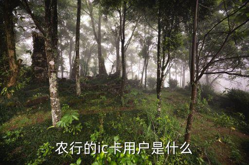 農(nóng)行ic卡是什么，農(nóng)行的ic卡用戶是什么