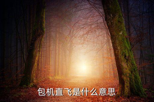 什么是包機(jī)航班，包機(jī)直飛是什么意思