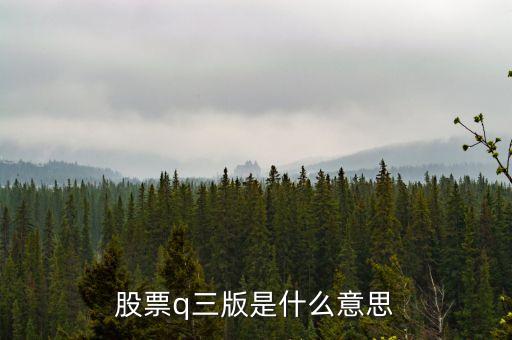 股票q三版是什么意思