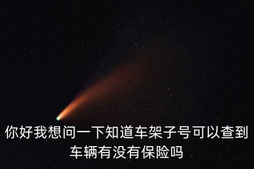 你好我想問一下知道車架子號(hào)可以查到車輛有沒有保險(xiǎn)嗎