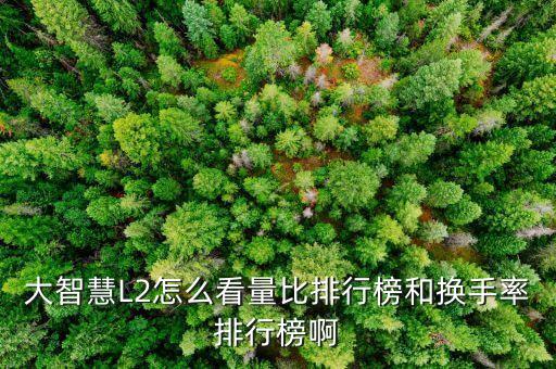 確信買入是什么意思，港股評(píng)級(jí)確信買入名單 是什么意思