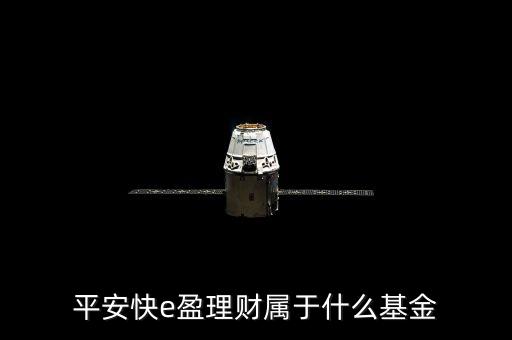 519173是什么基金，我發(fā)現(xiàn)基金有各種代碼有125等開頭的每種開頭都是什么含義