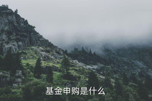 基金申購什么意思，基金支取基金申購什么意思
