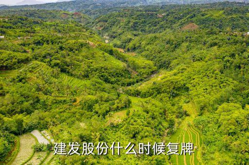 600074什么時(shí)候復(fù)牌，建發(fā)股份什么時(shí)候復(fù)牌