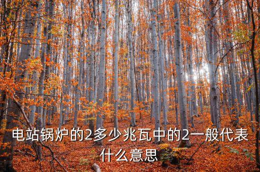 電站兆瓦什么意思，兆瓦是哪一個(gè)物理量的單位發(fā)電能力達(dá)45兆瓦說明什么意思
