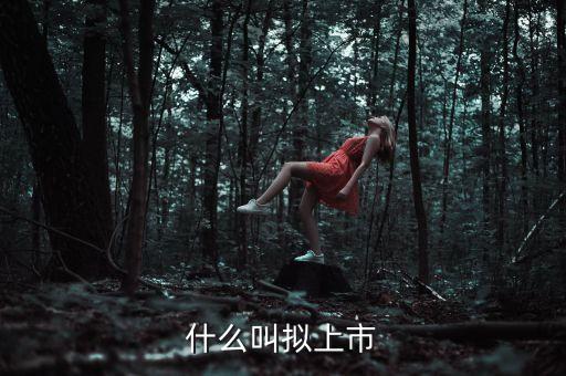 什么叫擬上市，什么是擬上市