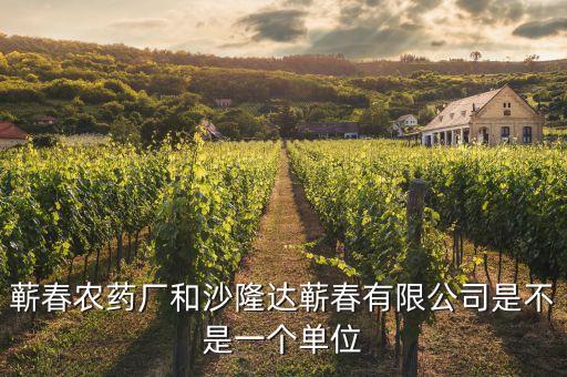 蘄春汪潮涌投資了什么，蘄春農(nóng)藥廠和沙隆達蘄春有限公司是不是一個單位