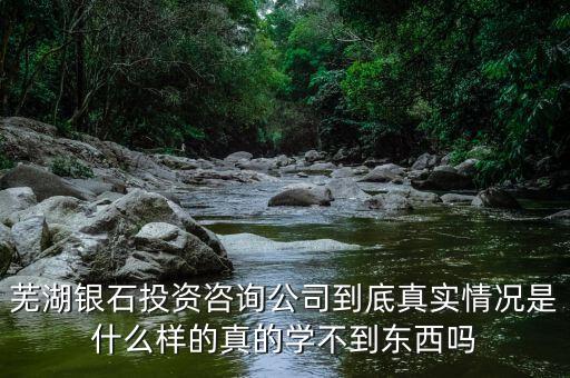 伯威控股是什么，威凌控股公司是做什么的