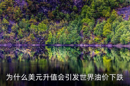 為什么美元升值會(huì)引發(fā)世界油價(jià)下跌