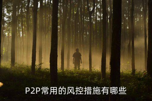 cppi的風控措施是什么，p2p如何風控P2P公司都用什么風控系統(tǒng)