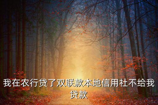 什么是雙聯(lián)貸款，我在農(nóng)行貸了雙聯(lián)款本地信用社不給我貸款