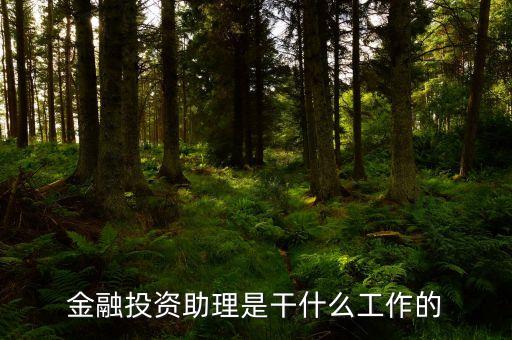 金融助理是做什么的，金融助理是干什么的