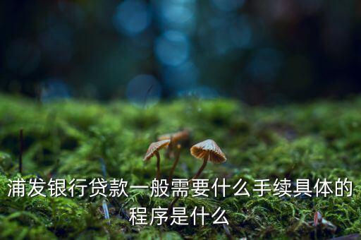 浦發(fā)銀行網(wǎng)貸通要什么條件，TB支持浦發(fā)  浦發(fā)開通網(wǎng)銀要什么條件比如要帶點(diǎn)什么的