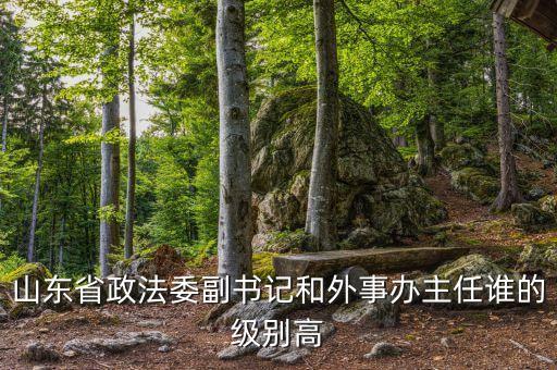 山東省政法委副書記和外事辦主任誰的級別高