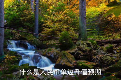 什么是單邊升值，人民幣單邊升值預(yù)期是什么意思