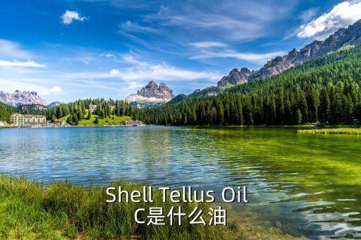 權(quán)益油是什么，Shell Tellus Oil C是什么油