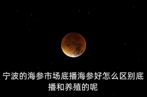 什么是底播海參，底播海參和非底播海參有什么區(qū)別