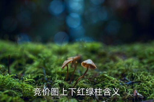股票競價(jià)圖是什么意思，股票競價(jià)圖怎么看