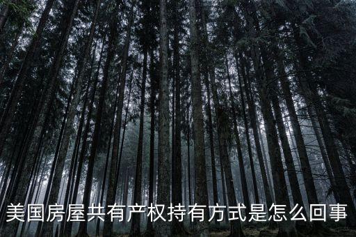 什么是共有產(chǎn)權(quán)產(chǎn)權(quán)模式，美國(guó)房屋共有產(chǎn)權(quán)持有方式是怎么回事