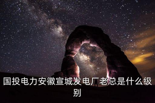 國電投什么級別，中國國電集團是什么級別