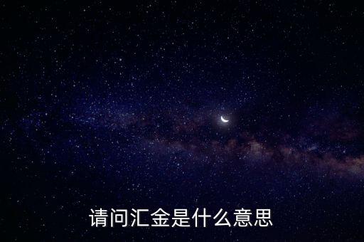 什么是匯金模式，匯金是什么農業(yè)銀行的AH是什么