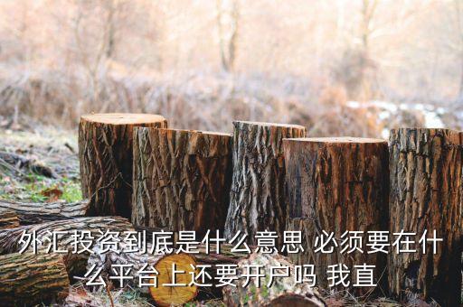 外匯投資到底是什么意思 必須要在什么平臺(tái)上還要開(kāi)戶嗎 我直