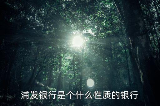浦發(fā)銀行屬于什么銀行，浦發(fā)銀行是個(gè)什么性質(zhì)的銀行