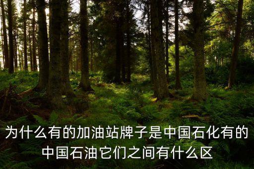 為什么中石化和中石油不，中石油中石化中海油為什么不合并