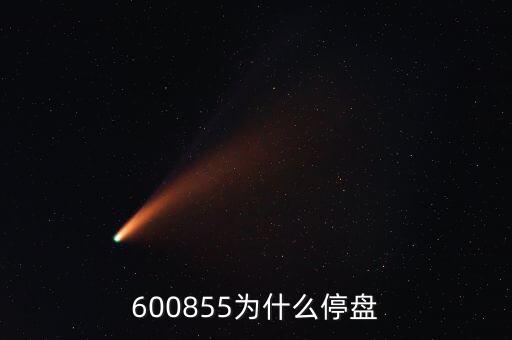 600855為什么停盤(pán)