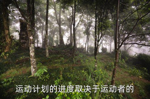 進度安排的靈活性是什么決定，運動計劃的進度取決于運動者的