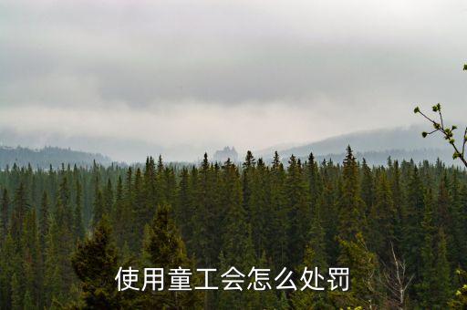 勞動法中用童工有什么懲罰，使用童工會怎么處罰