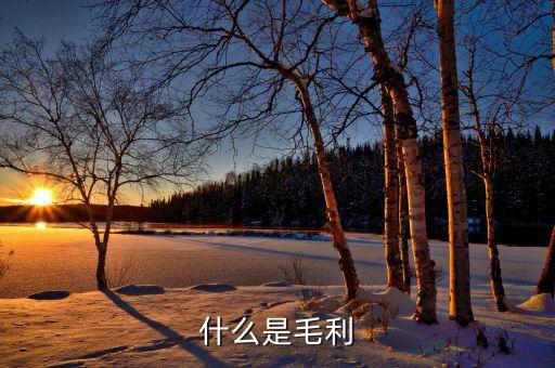 什么是產(chǎn)品毛利，什么是毛利怎么計算