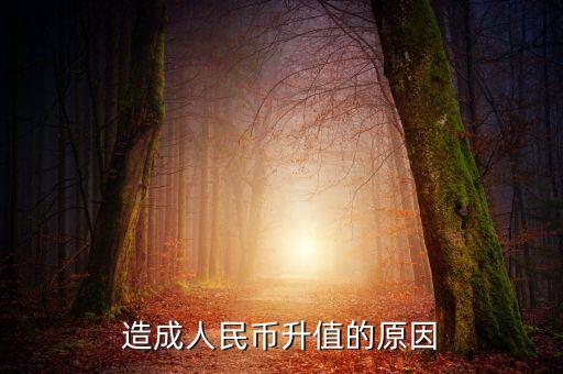 為什么貨幣升值，為什貨幣會升值