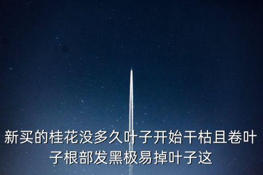 桂花樹過剩什么時(shí)候能緩解，盆栽的桂花為什么老掉葉子