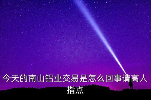 南山鋁業(yè)收購什么資產(chǎn)，山東南山鋁業(yè)股份有限公司的介紹