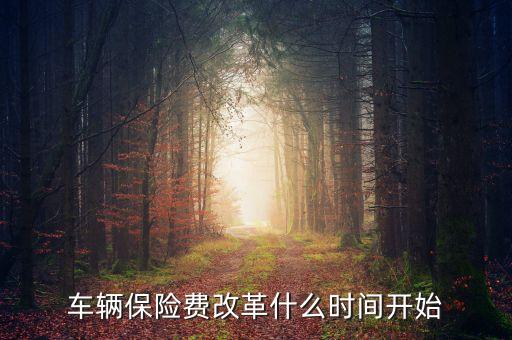 車輛保險(xiǎn)費(fèi)改革什么時間開始