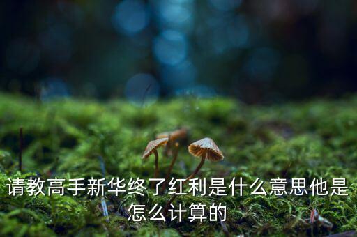 紅利是什么，保險里的分紅和紅利是一樣嗎