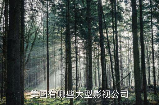 波士頓有什么大公司，美國(guó)有哪些大型影視公司