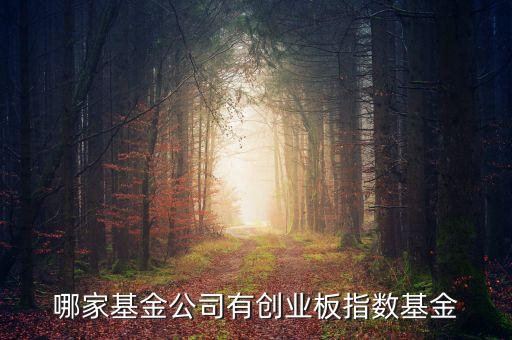 什么是中創(chuàng)400指數(shù)，基金里頭講到的 中創(chuàng)400 和 中小板300 有什么區(qū)別前者