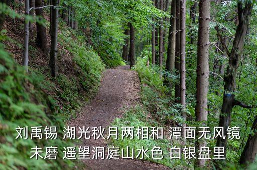 君山股份是做什么，劉禹錫 湖光秋月兩相和 潭面無(wú)風(fēng)鏡未磨 遙望洞庭山水色 白銀盤里