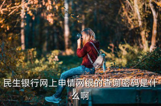 民生銀行查詢密碼是什么，民生銀行網(wǎng)上申請網(wǎng)銀的查詢密碼是什么啊