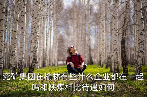 兗州煤業(yè)公司經(jīng)營什么，兗礦集團在榆林有些什么企業(yè)都在一起嗎和陜煤相比待遇如何