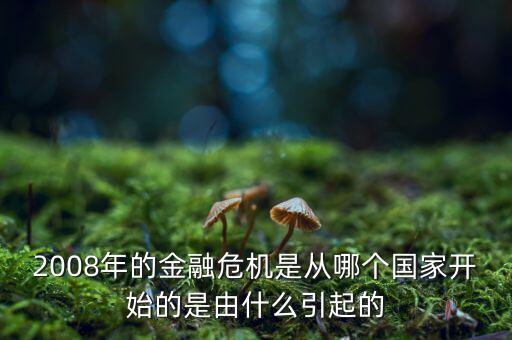 這一次的金融危機發(fā)端于什么，請問這次金融風(fēng)暴的起始是什么樣的具體的原因