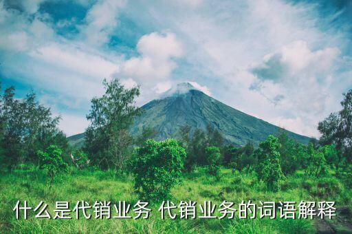 什么是代銷業(yè)務 代銷業(yè)務的詞語解釋