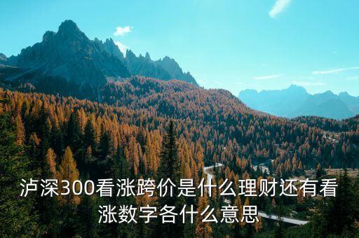 看漲跨價(jià)什么意思，理財(cái) 滬深300看漲跨價(jià)好不好
