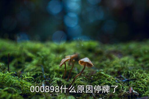 皇氏乳業(yè)為什么停牌，000009今天為何停牌