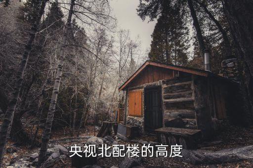 央視大樓的配樓像什么，央視著火的樓是誰設計的