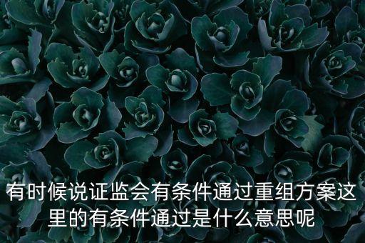 重組項目過會是什么意思，資產重組獲股東大會高票通過什么意思