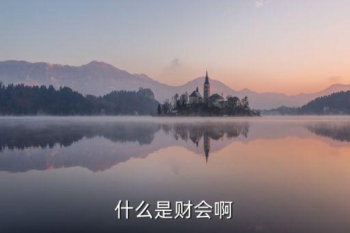 兵工財(cái)會(huì)是什么，中國(guó)兵器工業(yè)集團(tuán)的下屬財(cái)務(wù)公司有哪些要全稱